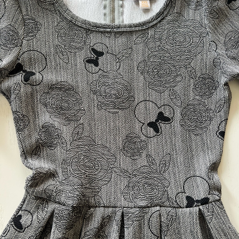Disney A Line dress with pockets.